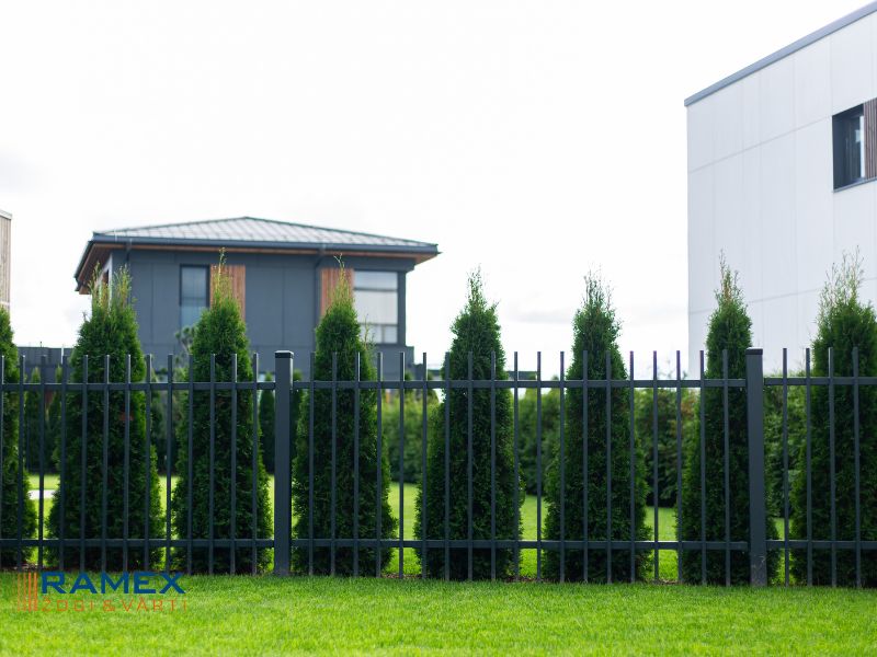 p22-cinkots-krasots-ral-1