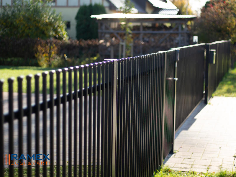 p22-cinkots-krasots-ral-2