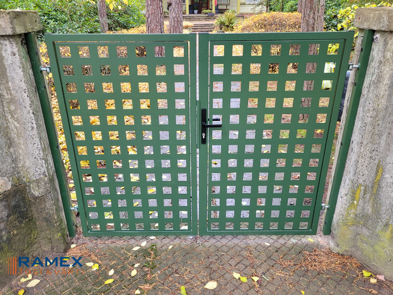 p22n-cinkots-krasots-ral-2