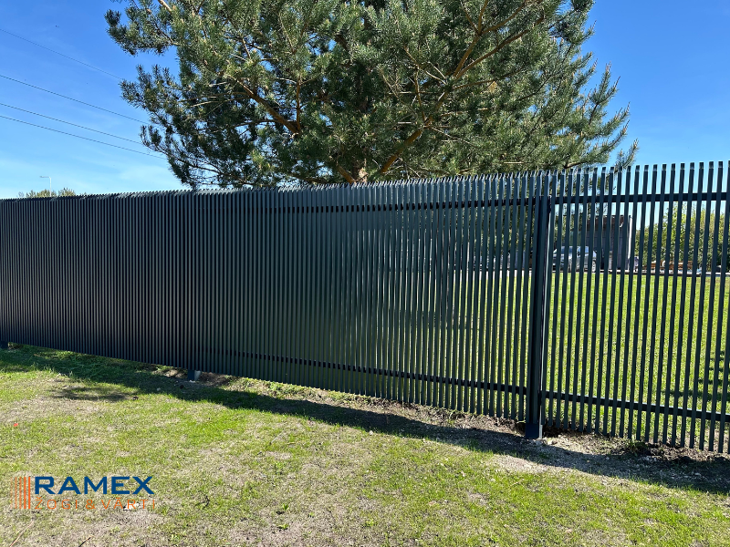 p24-cinkots-krasots-ral